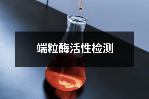 端粒酶活性检测 